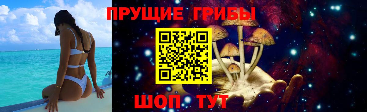 Аша  где найти   Вход с VPN  Галлюциногенные грибы мухоморы 